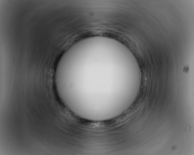 X0000103320275200809051006