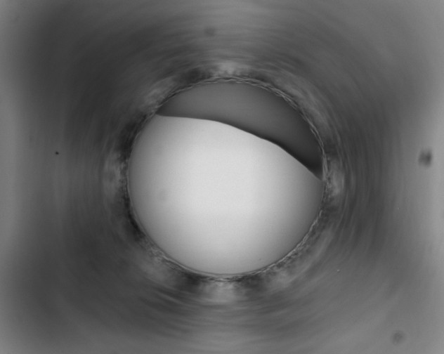 X0000103320276200809051006