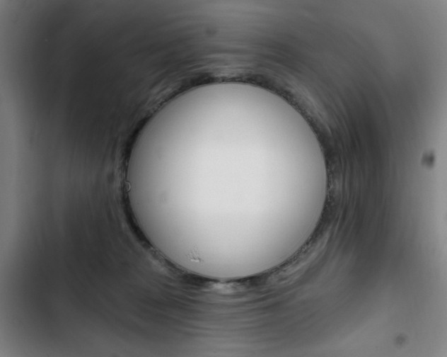 X0000103320277200809051006