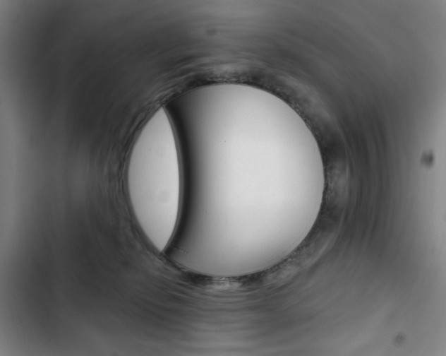 X0000103320278200809051006