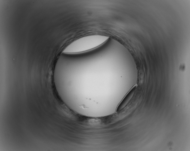 X0000103320279200809051006