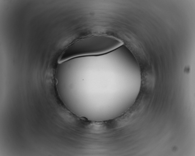 X0000103320280200809051006