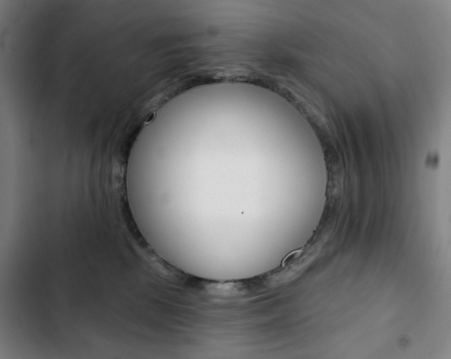 X0000103320281200809051006