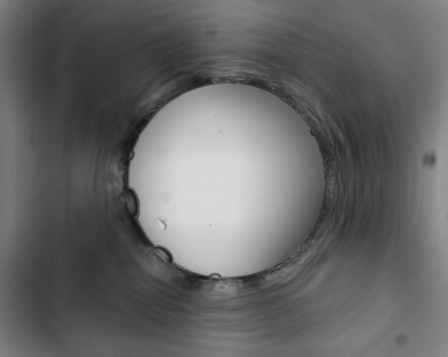 X0000103320282200809051006