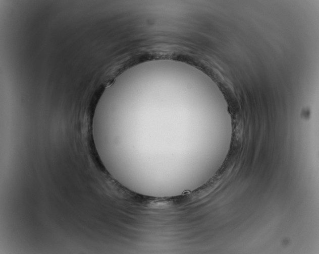 X0000103320283200809051006