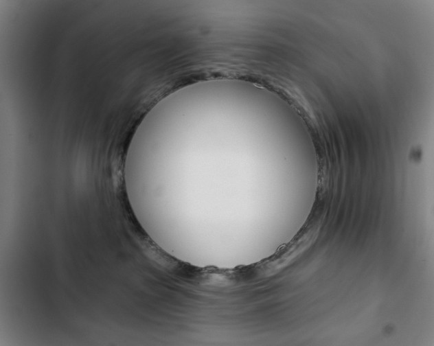 X0000103320285200809051006