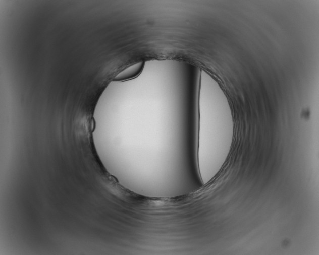 X0000103320286200809051006