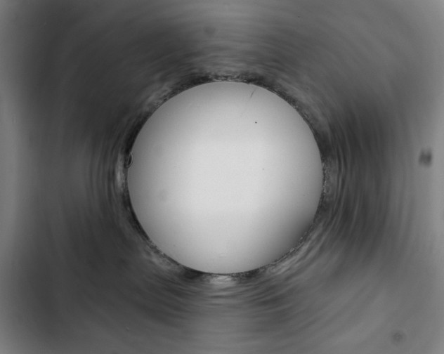 X0000103320287200809051006