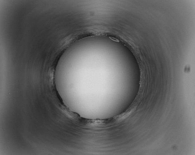 X0000103320288200809051006