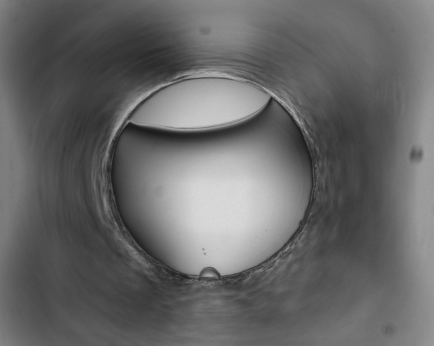 X0000103320289200809051005