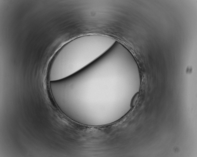 X0000103320290200809051005