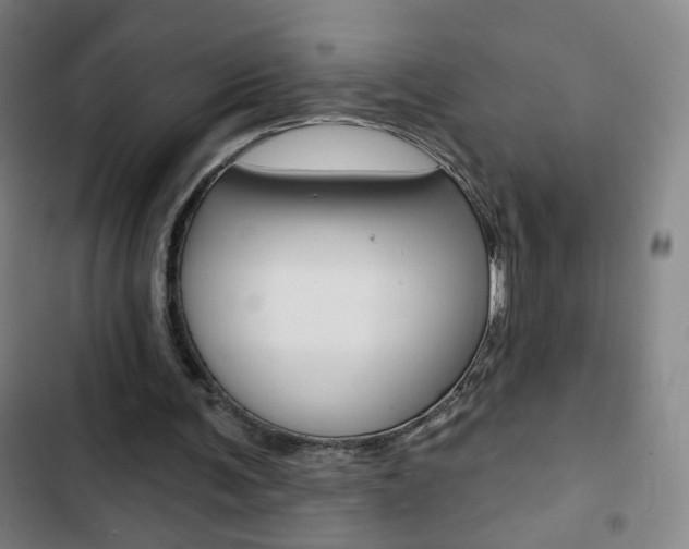 X0000103320291200809051005