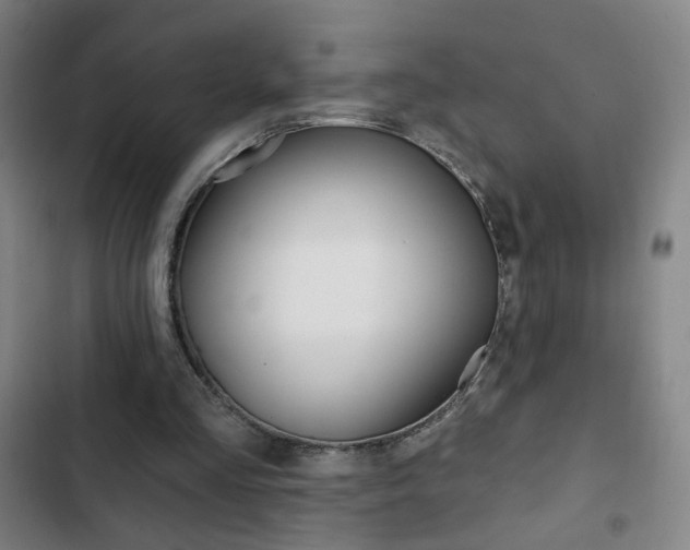 X0000103320293200809051005