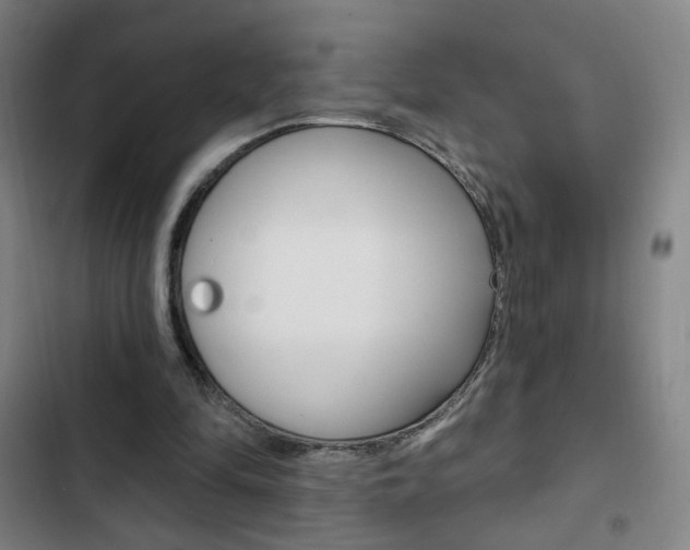 X0000103320294200809051005
