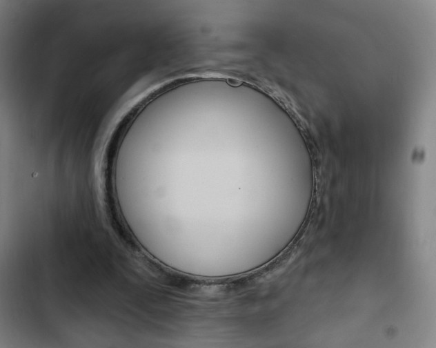 X0000103320295200809051005