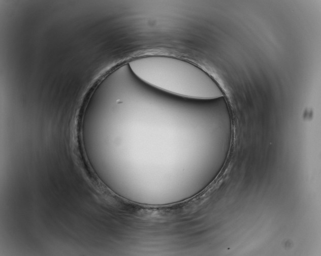 X0000103320297200809051005