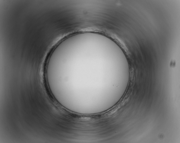 X0000103320298200809051005