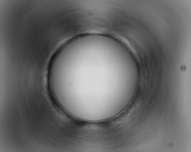 X0000103320299200809051005