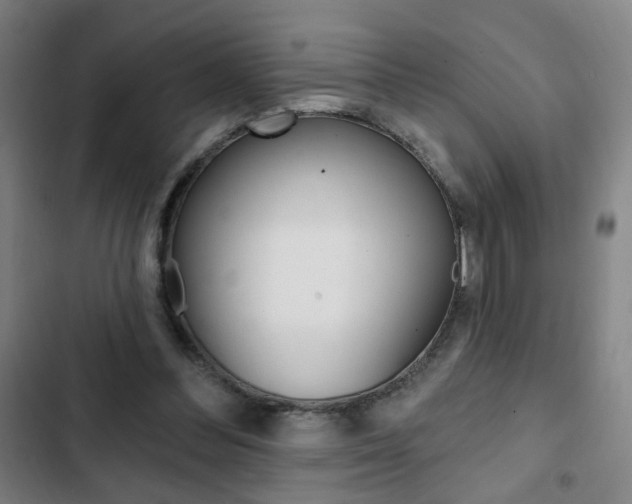 X0000103320300200809051005