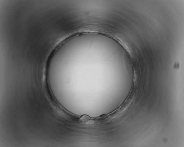 X0000103320301200809051005