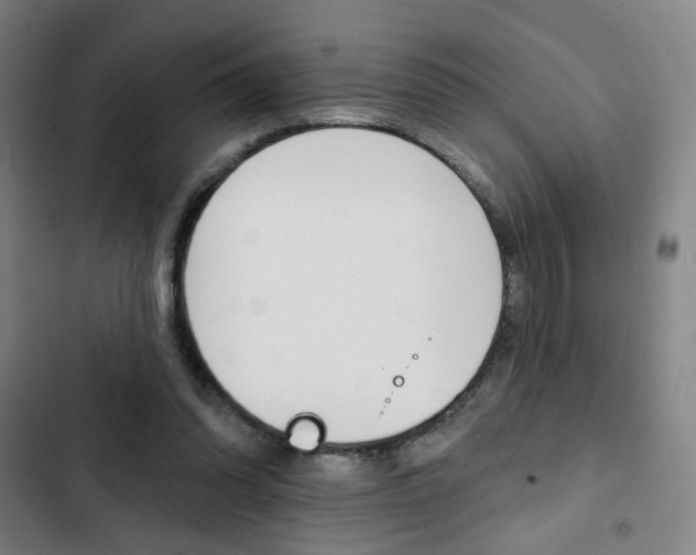 X0000103320302200809051005