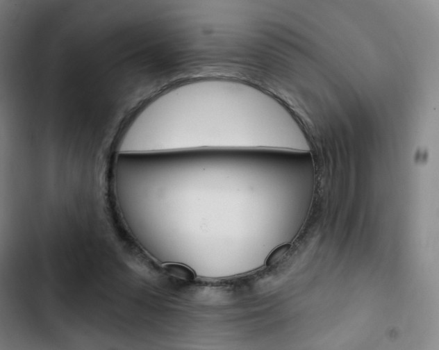 X0000103320303200809051005