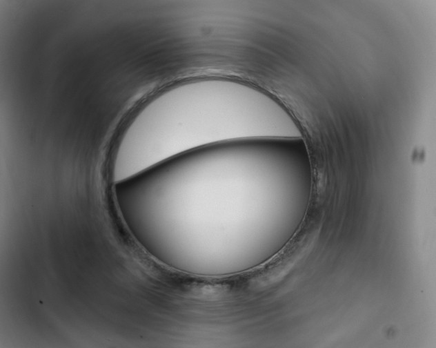 X0000103320304200809051005