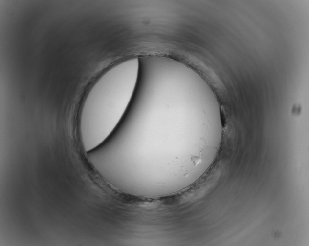 X0000103320306200809051005