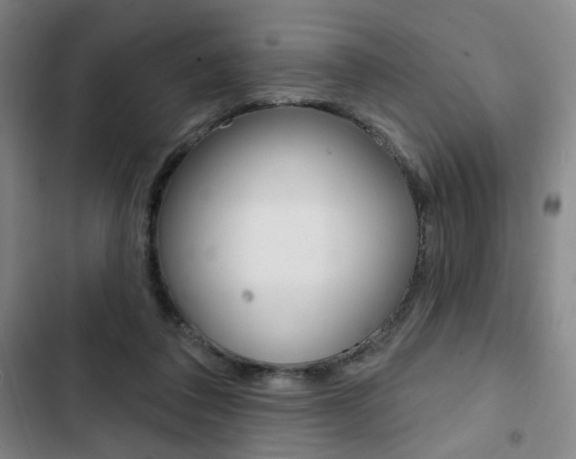 X0000103320308200809051005