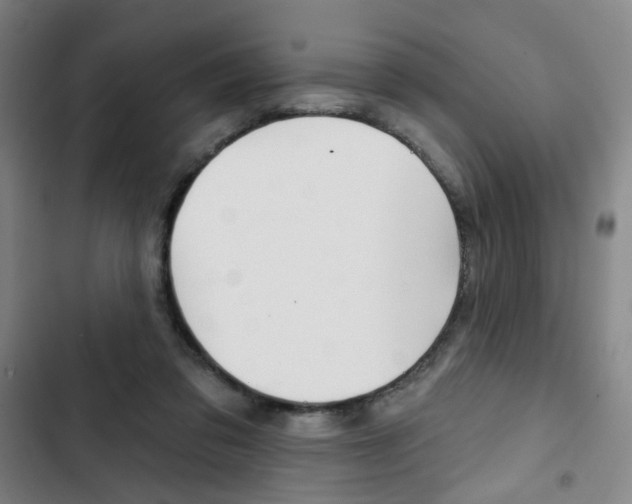 X0000103320309200809051005