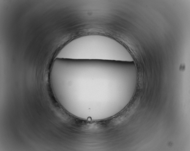 X0000103320310200809051005