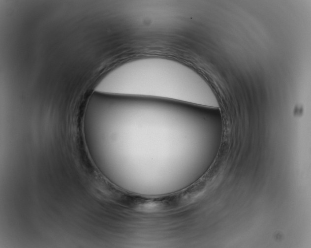 X0000103320312200809051005