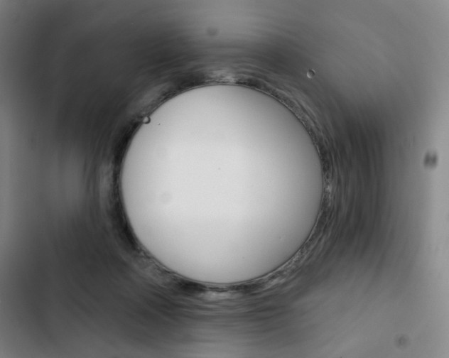 X0000103320314200809051005