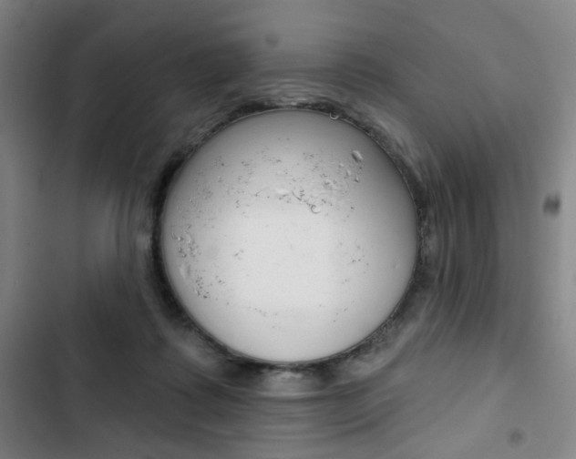 X0000103320315200809051005