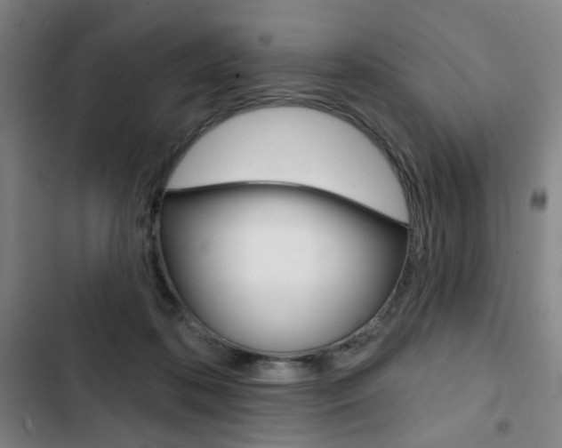 X0000103320316200809051005