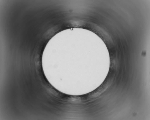X0000103320317200809051005