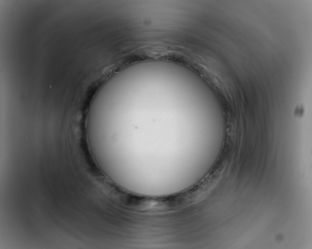 X0000103320319200809051005