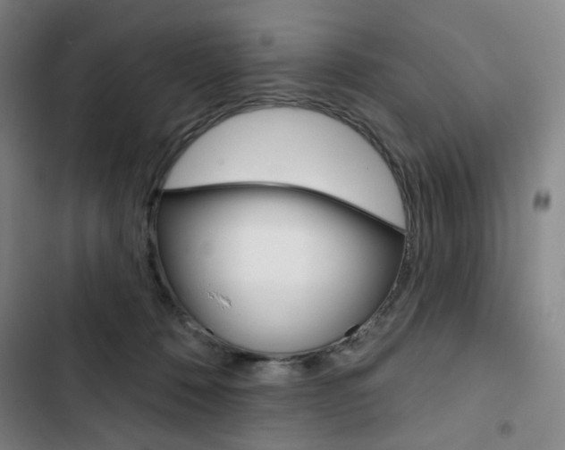 X0000103320320200809051005