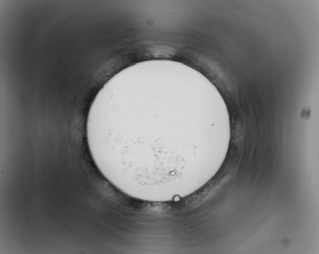 X0000103320321200809051005