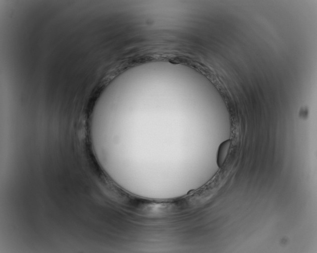 X0000103320323200809051005