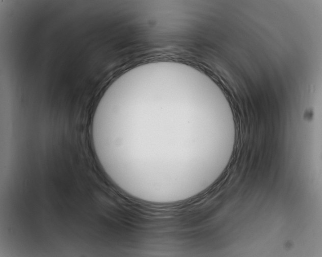 X0000103320324200809051005
