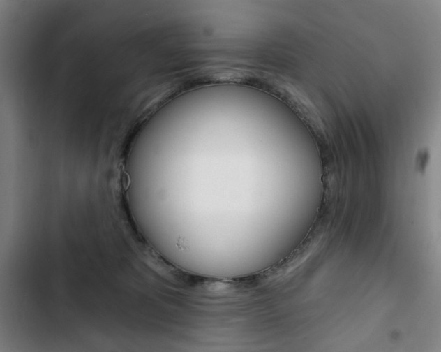 X0000103320325200809051005