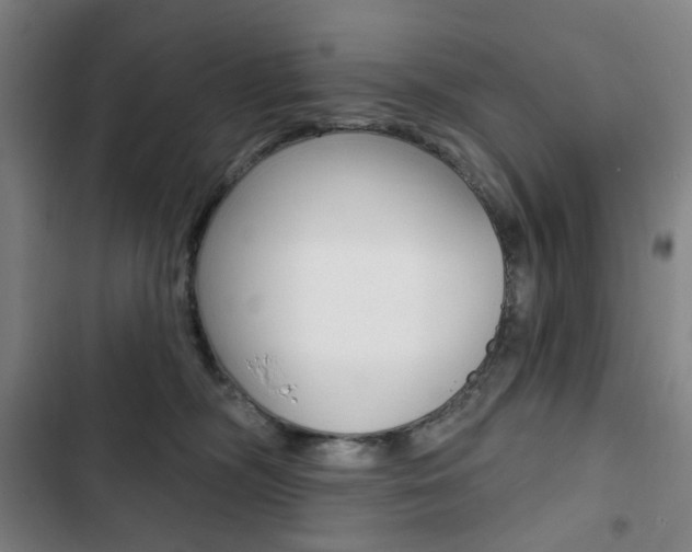 X0000103320326200809051005