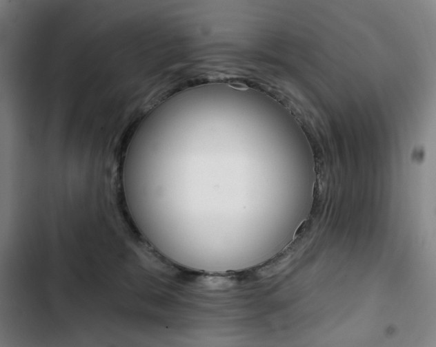 X0000103320327200809051005
