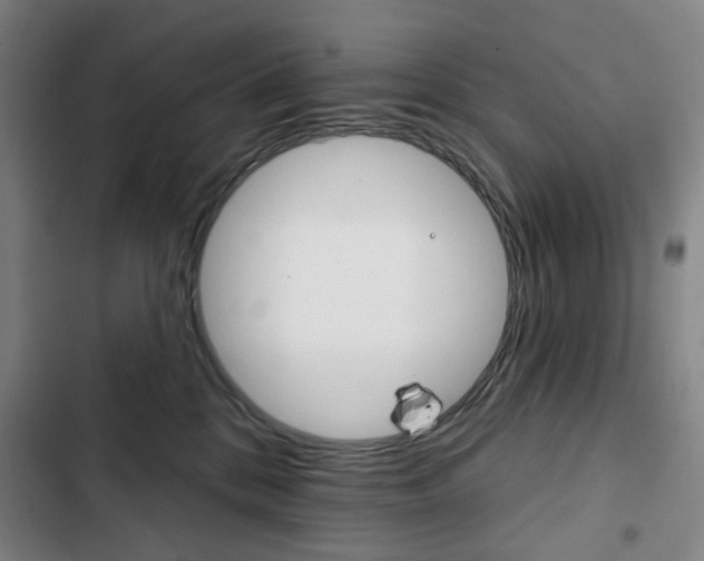 X0000103320328200809051005