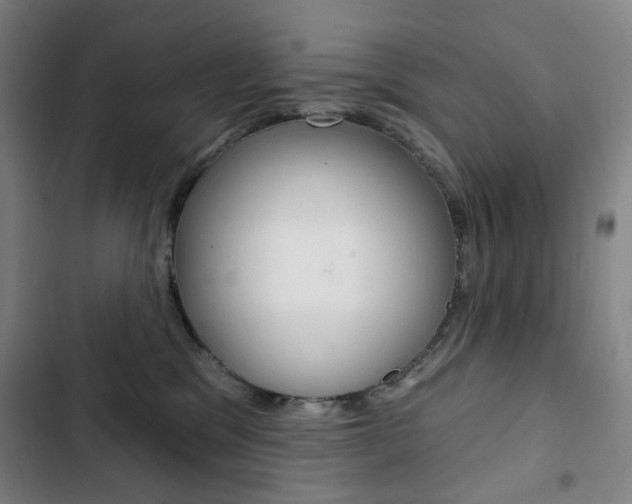 X0000103320329200809051005