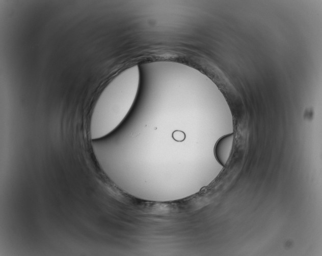 X0000103320330200809051005
