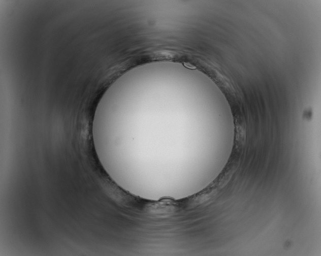 X0000103320331200809051005