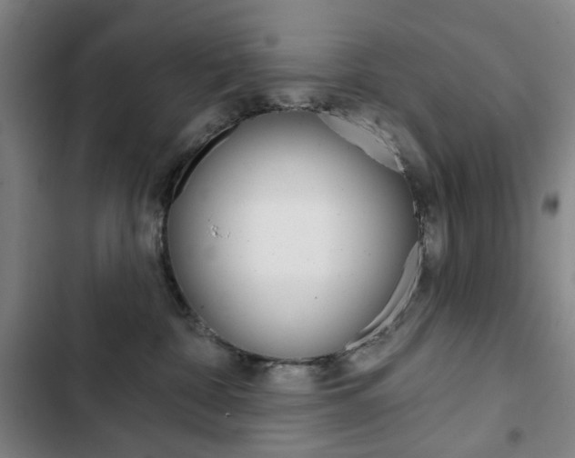 X0000103320332200809051005