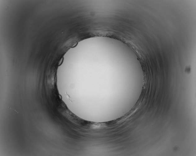 X0000103320334200809051004